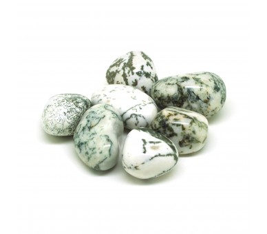 Agate arbre, Pierres roulées, par 100 grammes