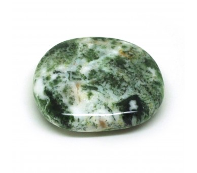 Agate arbre, Pierre plate, à l'unité