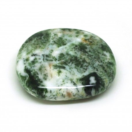 Agate arbre, Pierre plate, à l'unité
